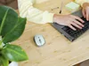 A person's hands are using a laptop and a wireless mouse on a wooden desk, with a plant in the foreground. Produktbild-Vorschau