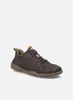 Josef Seibel Wallace 02 20702TE796310 (43/brasil) Produktbild-Vorschau 17