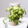 A white LED plant grow light is positioned over a potted green plant on a white surface. Produktbild-Vorschau