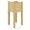 vidaXL Fioriera 31x31x70 cm in legno di pino massiccio Anteprima dell’immagine prodotto 10