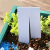 100 Stück 100 mm Kunststoff Produktbild-Vorschau 9