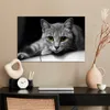 MuchoWow® Poster Katze - Tier - Makro 60x40 cm - Produktbild-Vorschau 3