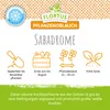 Artikelbild 6 von 'Winterpflanzknoblauch Sabadrome' aus der Kategorie Pflanzknoblauch Produktbild-Vorschau