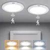 2x Bewegungsmelder Akku Lampe 4200mAh Decke Sensorlicht Produktbild-Vorschau 1