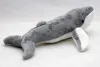 Buckelwal Kuscheltier Wal Furchenwal grau 26 cm Plüschtier Produktbild-Vorschau 4