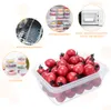 A collage of images showcasing food storage containers and their features, with a main image of cherry tomatoes in a container. Produktbild-Vorschau
