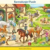 Paardenboerderij Ravensburger, postcode 06164 Productafbeelding-voorbeeld 3