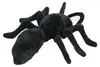 Kuscheltier Ameise schwarz 24 cm Plüschameise Produktbild-Vorschau 3