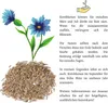 Kornblumen Samen (Centaurea cyanus) - Wunderschön Produktbild-Vorschau 6