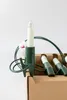 A close-up shot of a string of Christmas lights with candle-shaped bulbs, partially in a cardboard box. Produktbild-Vorschau