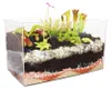 Piante carnivore - Acquario fai da te - piccolo Anteprima dell’immagine prodotto 2