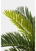 Mica Decorations Cycas Palm Pianta artificiale in vaso da Anteprima dell’immagine prodotto 4