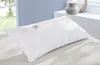 A white pillow with a metal ring on a bed, with a window and a vase in the background. Produktbild-Vorschau