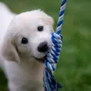 PETSTORY Robustná loptička s lanom na ťahanie pre psov Náhľad obrázku produktu 3