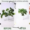 5 Stück schwarze Monstera-Pflanzenstützen (19 x 17 cm) – Produktbild-Vorschau 3