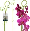 KOTARBAU® Pflanzenstütze Grün PVC 58 cm Blumenstütze Produktbild-Vorschau 1
