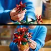 Gwiazda Betlejemska Podgląd zdjęcia produktu 5