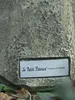 Vidroflor Kunststein Der Kleine Prinz - Prinz mit Schaf © Produktbild-Vorschau 6