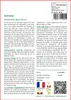 SAFLAX  - Armoise - 500 graines - Artemisia Voir les images du produit 3