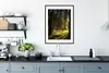 MuchoWow® Gerahmtes Poster Baum - Natur - Sonne - Wald Produktbild-Vorschau 4