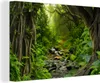MuchoWow® - Leinwandbilder - Natur - Wasser - Dschungel - Produktbild-Vorschau 1