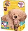 Moose Toys Little Live Pets - My Really Real Puppy Bailey, Produktbild-Vorschau 4