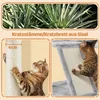 A collage of images showing a cat scratching post, plants, and a cat. Produktbild-Vorschau