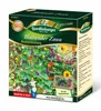 Quedlinburger Saatgut - Blühender Zaun - Samen - 2972036 Produktbild-Vorschau 3