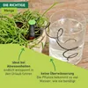 Automatischer Wasserspender Produktbild-Vorschau 3