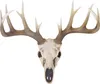 Deko Skull 58cm, Polyresin Hirschgeweih Kopf Trophäe, Produktbild-Vorschau 6