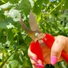 Felco 300, Kovadlina, Červená, Šedá, 190 mm, 1 cm, 125 g Náhled obrázku produktu 16