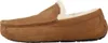 Ugg Ascot M Chestnut - Heren Pantoffel - 1101110-CHE Produktbild-Vorschau 2