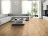 Laminat Jangal 8055 Nature Oak National Park Line Plus 8mm Produktbild-Vorschau 4