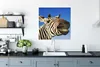 MuchoWow® Poster Zebra - Lustig - Kinder - Jungen - Mädchen Produktbild-Vorschau 3