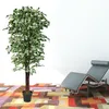 Ficus Benjamin breza figová umelá rastlina umelý strom Náhľad obrázku produktu 4
