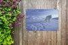 Gartenposter - 60x40 cm - Polarfuchs im Schnee  - Modernes Produktbild-Vorschau 6