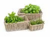 Rattan Pflanzkorb 3er Set Kubu Natural – rechteckig mit Produktbild-Vorschau 1