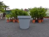 E&K Übertopf grau Ø 80 cm Pflanztopf Blumentopf Pflanzkübel Produktbild-Vorschau 4