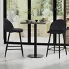 CLIPOP Barhocker 2er Set, Samt Bistrohocker mit Fußstütze, Produktbild-Vorschau 9