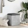 A storage ottoman with a dark gray upholstered top sits on a wooden floor next to a large tote bag and a potted plant. White sneakers are placed near the ottoman. Náhled obrázku produktu
