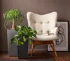 Dehner Efeutute, Epipremnum aureum, rankend, zweifarbig, Produktbild-Vorschau 4