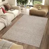 A living room scene with a sofa, rug, and beanbag chair. Anteprima dell’immagine prodotto