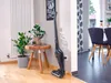 Leifheit Rotaro PowerVac 2in1 Akku-Staubsauger Produktbild-Vorschau 6
