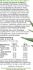 QueenRoyal Aloe Vera Trinkgel (2 Liter Sparpack) 99.55% Produktbild-Vorschau 3