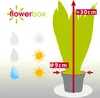 Bogenhanf - pflegeleichte Zimmerpflanze, Sansevieria Produktbild-Vorschau 4