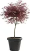 HowHomely | Blumentopf - Pflanzgefäß - 47x55 cm - anthrazit Produktbild-Vorschau 1