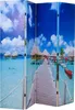 vidaXL Roomdivider, inklapbaar, 160 x 170 cm, strandstijl Productafbeelding-voorbeeld 7