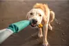 Ruffwear Pacific Loop Spielzeug Aurora Teal Produktbild-Vorschau 11