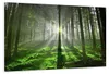 5130 Sonnenlicht Wald Leinwandbild 3-teilig 120x80 cm Produktbild-Vorschau 1