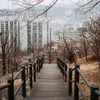 A wooden staircase with railings leads down towards a city skyline with tall buildings in the background. Anteprima dell’immagine prodotto